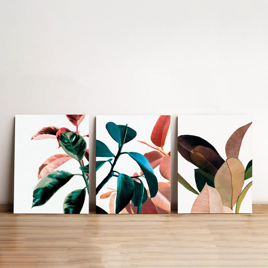 Colors of Leaves