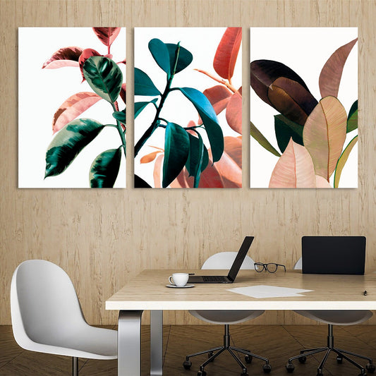 Colors of Leaves